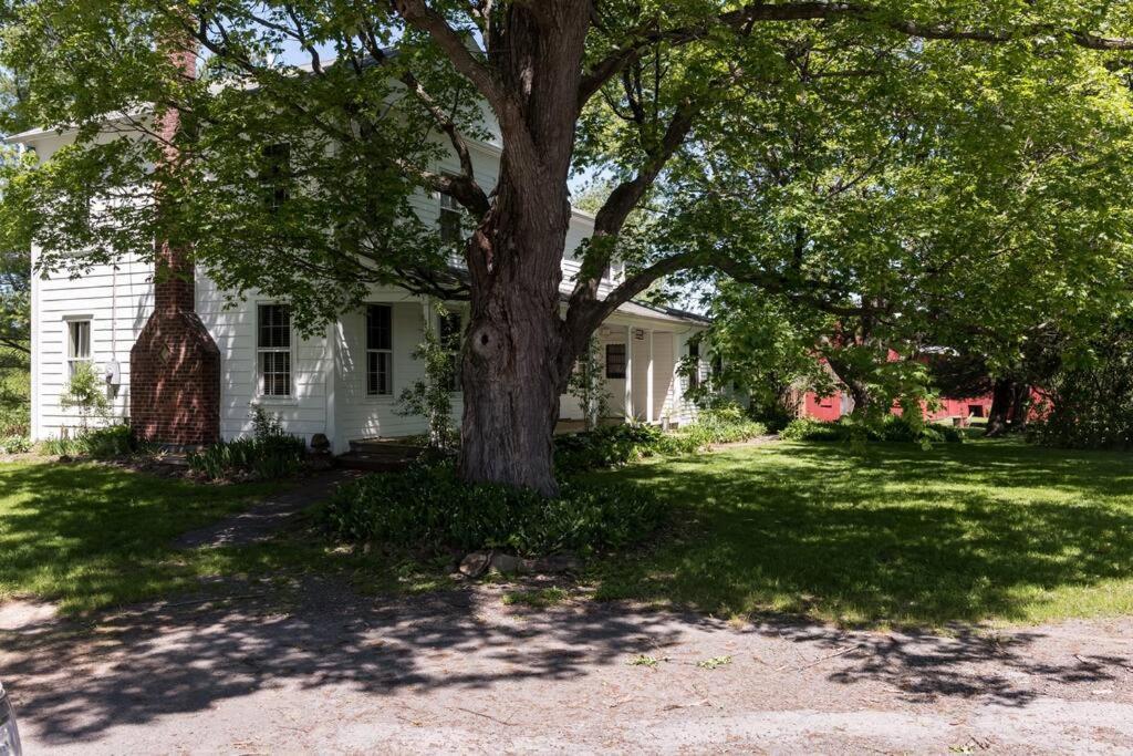 King Hill Cottage Greenville Bagian luar foto